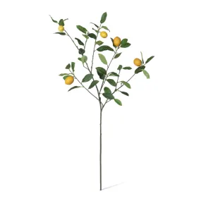 Lemon Branch